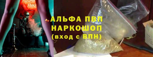 прущие грибы Аркадак
