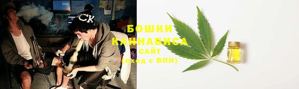 прущие грибы Аркадак