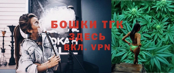 дурь Карпинск