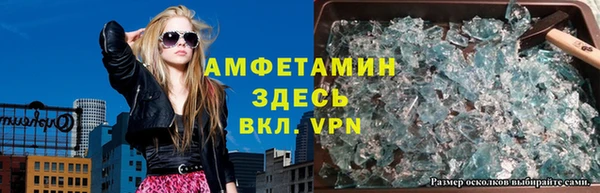 прущие грибы Аркадак